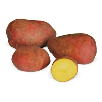 Картофель красный