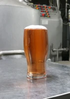 Melomel semi-dry (медовуха)