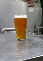 Apa